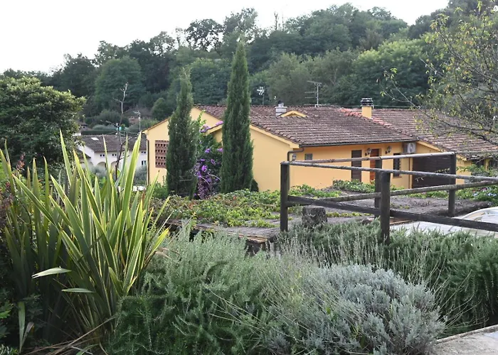 Dom wakacyjny La Casa Gialla *