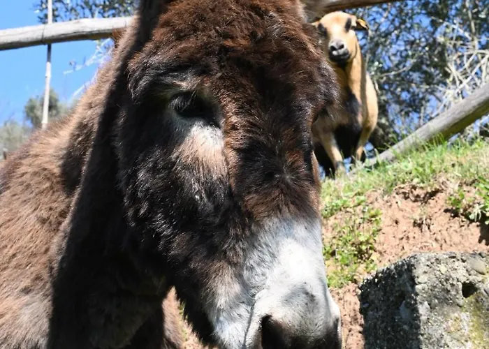 La Casa Gialla * Lukka