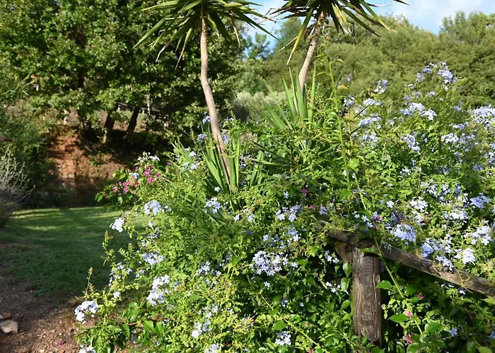 Dom wakacyjny La Casa Gialla *