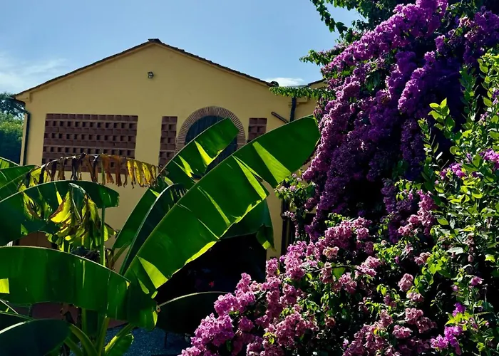 Dom wakacyjny La Casa Gialla Lukka