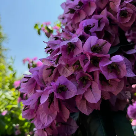 Nyaraló La Casa Gialla *