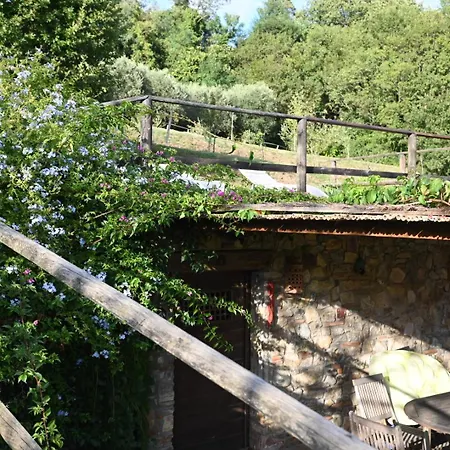 Feriehus La Casa Gialla Lucca
