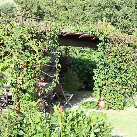 La Casa Gialla *