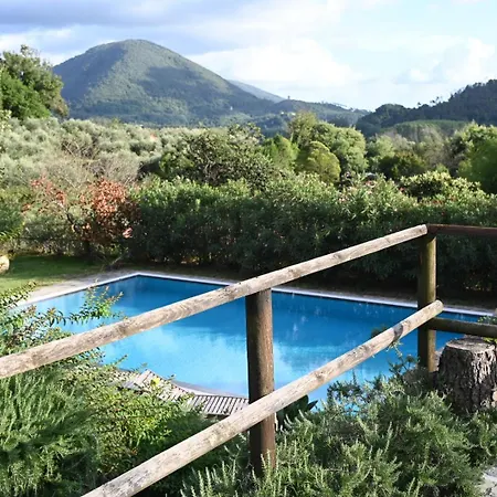 La Casa Gialla * Lucca