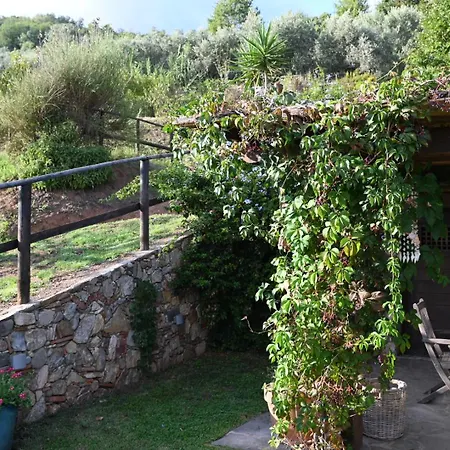 La Casa Gialla * Lucca