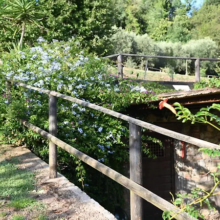 La Casa Gialla Lucca