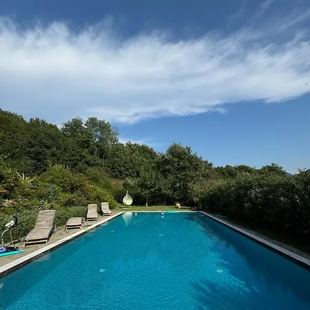 La Casa Gialla Lucca