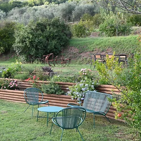 La Casa Gialla Lucca