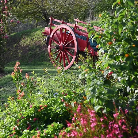 La Casa Gialla * Lucca