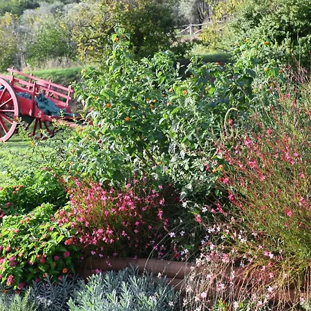 La Casa Gialla Lucca