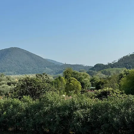 La Casa Gialla Nyaraló Lucca