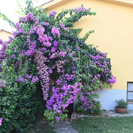 La Casa Gialla