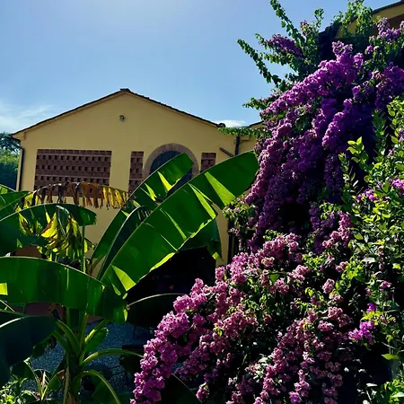別荘 La Casa Gialla ルッカ